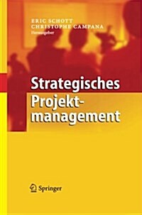 Strategisches Projektmanagement (Paperback)