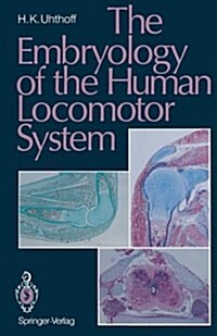 The Embryology of the Human Locomotor System (Paperback)