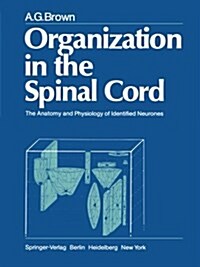 Organization in the Spinal Cord : The Anatomy and Physiology of Identified Neurones (Paperback, Softcover reprint of the original 1st ed. 1981)