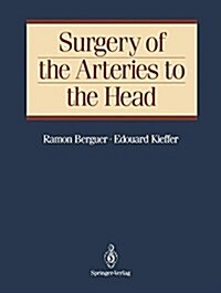 Surgery of the Arteries to the Head (Paperback)