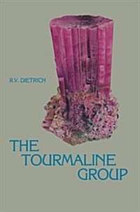 The Tourmaline Group (Paperback, Softcover Repri)