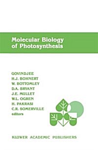 Molecular Biology of Photosynthesis (Paperback)