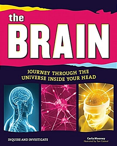 The Brain: Journey Through the Universe Inside Your Head (Hardcover)