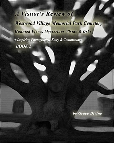 A   Visitors Review of Westwood Village Memorial Park Cemetery: Haunting Views, Mysterious Vistas & Orbs + Inspiring Photography, Story & Commentary (Paperback)