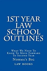 1st Year Law School Outlines: What We Need to Know to Move Forward to Second Year (Paperback)