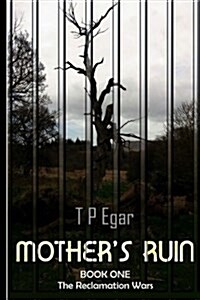 Mothers Ruin (Paperback)