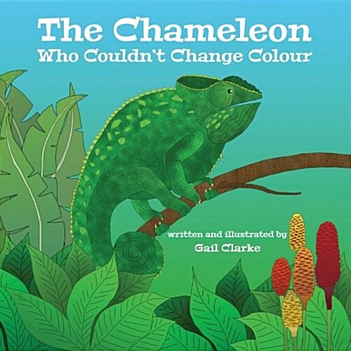 The Chameleon Who Couldnt Change Colour (Paperback)