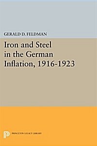 Iron and Steel in the German Inflation, 1916-1923 (Paperback)