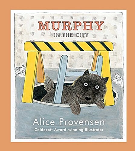 Murphy in the City (Hardcover)