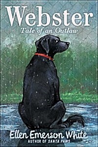 Webster: Tale of an Outlaw (Hardcover)
