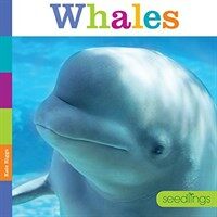 Seedlings: Whales (Paperback)