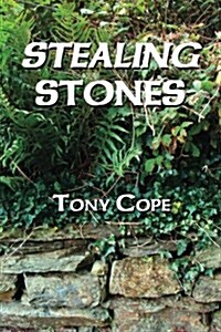 Stealing Stones (Paperback)