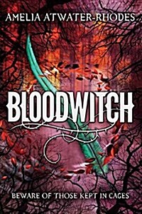 Bloodwitch (Book 1) (Paperback)
