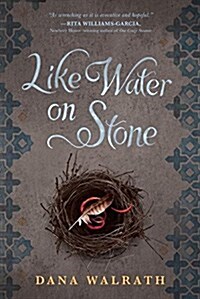 Like Water on Stone (Paperback)