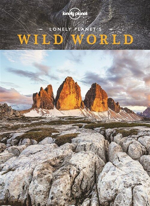 Lonely Planets Wild World 1 (Hardcover)