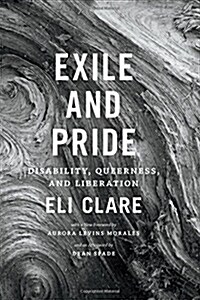 Exile and Pride: Disability, Queerness, and Liberation (Paperback)