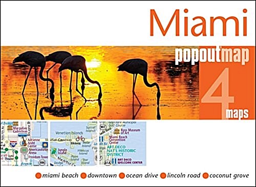 Miami Popout Map (Sheet Map, folded)