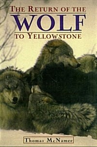 The Return of the Wolf to Yellowstone (Paperback, Reprint)