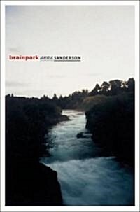 Brainpark (Paperback)