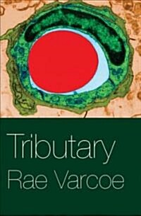 Tributary (Paperback)