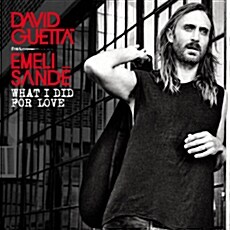 [수입] David Guetta - What I Did For Love (Feat. Emeli Sande) [Remixes EP]
