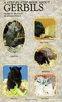 A Step-By-Step Book About Gerbils (Paperback)