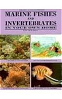 Marine Fishes and Invertebrates in Your Own Home (Hardcover)