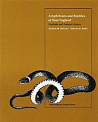Amphibians and Reptiles of New England: Habitats and Natural History (Paperback)