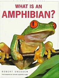 What Is an Amphibian? (Paperback)