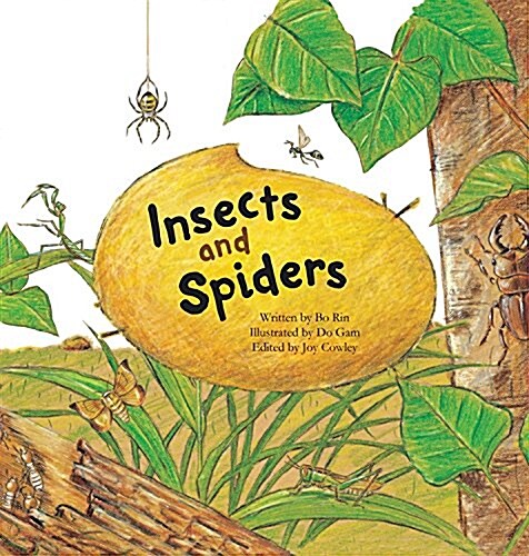 Insects and Spiders: Insects and Spiders (Library Binding)