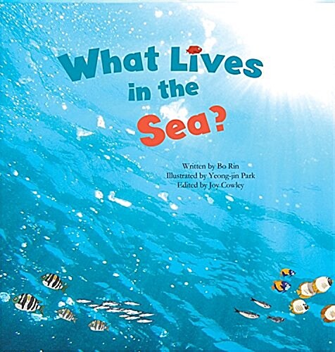 What Lives in the Sea?: Marine Life (Library Binding)