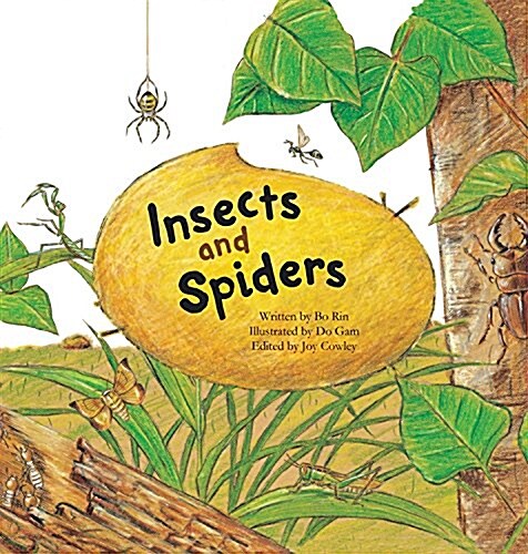 Insects and Spiders: Insects and Spiders (Paperback)