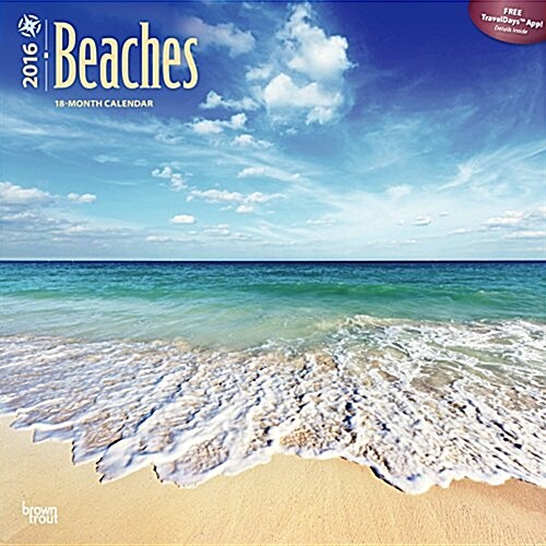 Beaches (Wall, 2015-2016)