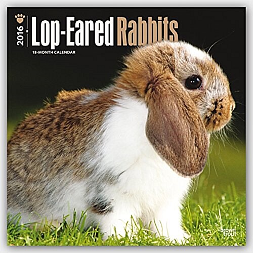 Lop-Eared Rabbits (Wall, 2015-2016)