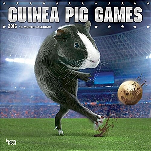 Guinea Pig Games (Wall, 2015-2016)