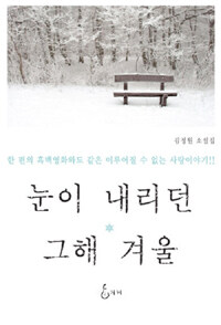 눈이 내리던 그 해 겨울 : 김정원 소설