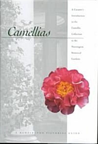 Camellias: A Curators Introduction to the Camellia Collection in the Huntington Botanical Gardens (Hardcover, Rev and Expande)