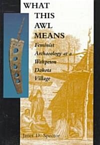 What This Awl Means: Feminist Archaeology at a Wahpeton Dakota Village (Paperback)