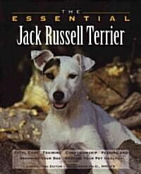 The Essential Jack Russell Terrier (Paperback)