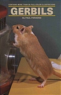 Gerbils (Hardcover)