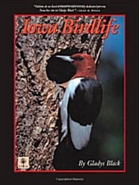 Iowa Birdlife (Paperback)