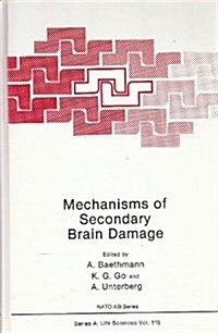 Mechanisms of Secondary Brain Damage (Hardcover)