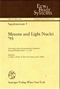 Mesons and Light Nuclei 95 (Hardcover)