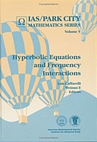 Hyperbolic Equations and Frequency Interactions (Hardcover)