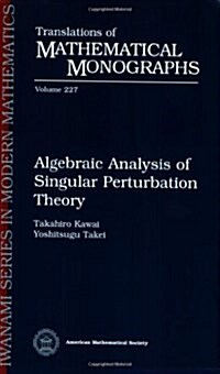 Algebraic Analysis of Singular Perturbation Theory (Paperback)