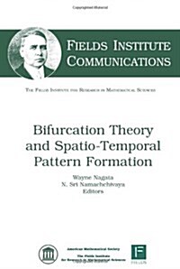 Bifurcation Theory and Spatio-temporal Pattern Formation (Hardcover)