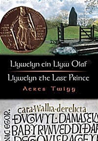 Cyfres Cip ar Gymru / Wonder Wales: Llywelyn ein Llyw Olaf (Paperback, Bilingual ed)