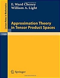 Approximation Theory in Tensor Product Spaces (Paperback)
