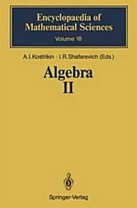 Algebra II: Noncommutative Rings Identities (Paperback, Softcover Repri)