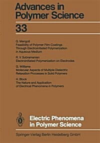 Electric Phenomena in Polymer Science (Paperback)